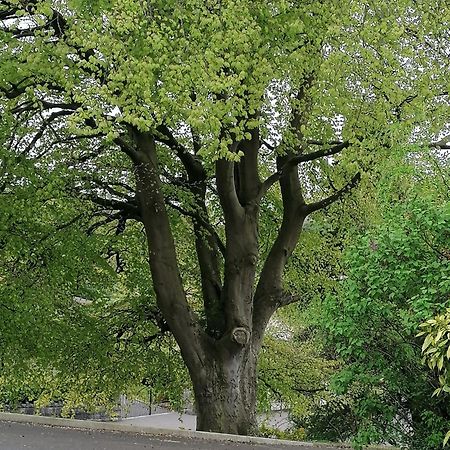 דירות ניוארי The Beeches מראה חיצוני תמונה